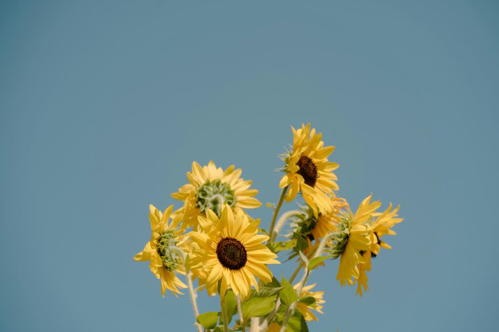 きっかけは待つのではなく”作るもの”