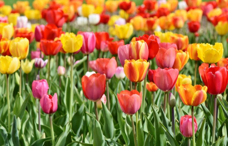 パワハラを受けやすい人の特徴